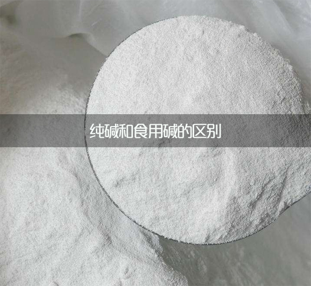 純堿和食用堿的區(qū)別