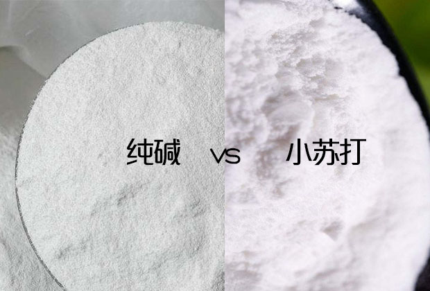 區分純堿跟小蘇打的方法