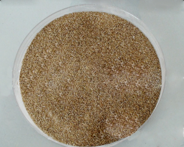 檸檬酸在海澡酸鈉凝膠中起什么作用